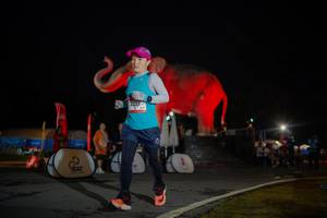 BIB: 
                            <button type="button" onclick="openModal(26551797)" class="btn btn-primary btn-sm float-right btn-popup" data-toggle="modal" data-target=".modal-high-quality">
                        <i class="fas fa-shopping-cart"></i> Add to Cart
                    </button>
                                            <button type="button" onclick="isThisMe(26551797, true)" class="btn btn-success btn-sm float-right btn-popup btn-isme hidden" data-toggle="tooltip" data-placement="bottom" title="นี่คือรูปของคุณใช่ไหม คลิกที่นี่เพื่อเอาเข้าอัลบั้ม">
                        <i class="fas fa-plus"></i> Add to album
                    </button>
                    <button type="button" onclick="isThisMe(26551797, false)" class="btn btn-warning btn-sm float-right btn-popup btn-isnotme hidden">
                        <i class="fas fa-ban"></i> Remove from album
                    </button>